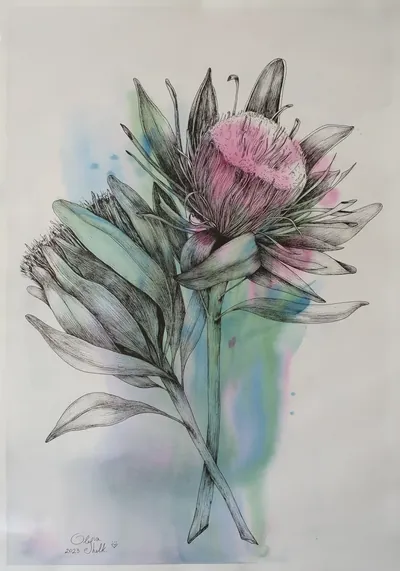 Protea