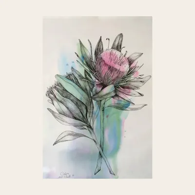 “Protea” painting by Olesia Shelkovenko