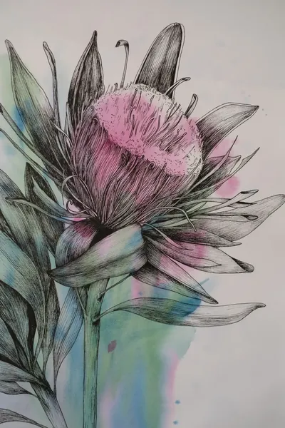 “Protea” painting by Olesia Shelkovenko