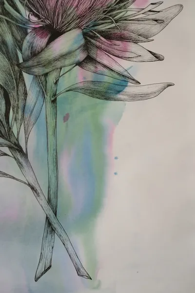 “Protea” painting by Olesia Shelkovenko