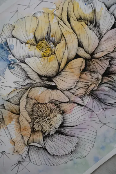 Pintura «Cato» de Olesia Shelkovenko