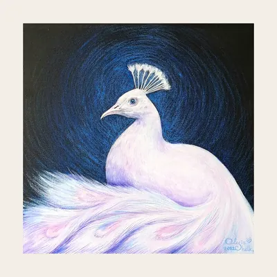 Pintura «Pavão Branco» de Olesia Shelkovenko