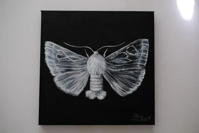 Pintura «Mariposa-da-seda» de Olesia Shelkovenko