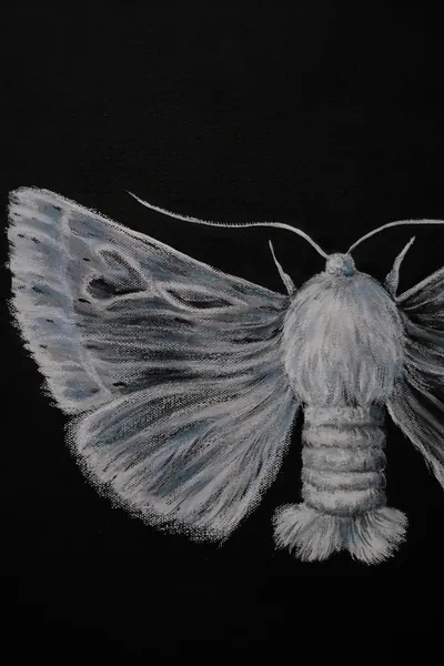 “Silkworm Moth” painting by Olesia Shelkovenko