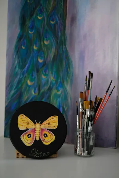 Automeris io