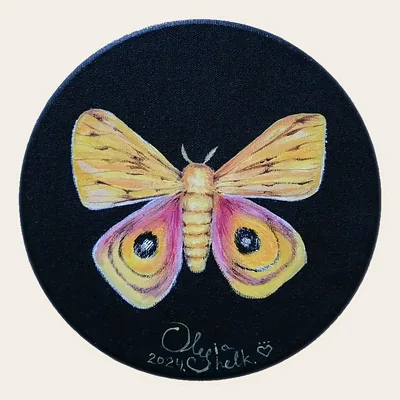 Automeris io