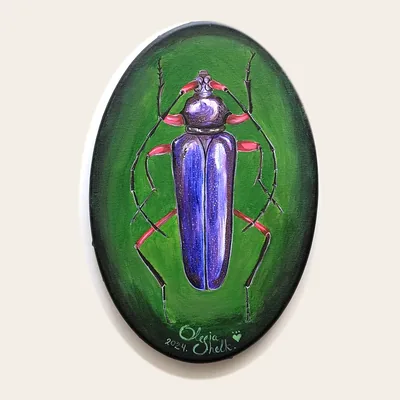Beetle