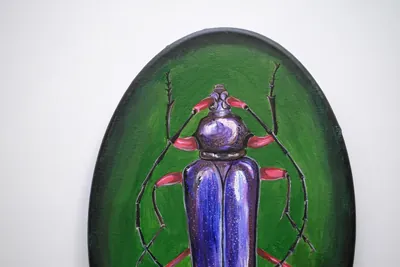 “Beetle” painting by Olesia Shelkovenko